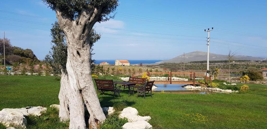 Adayel Bagevi & Butik Otel Bozcaada Luaran gambar