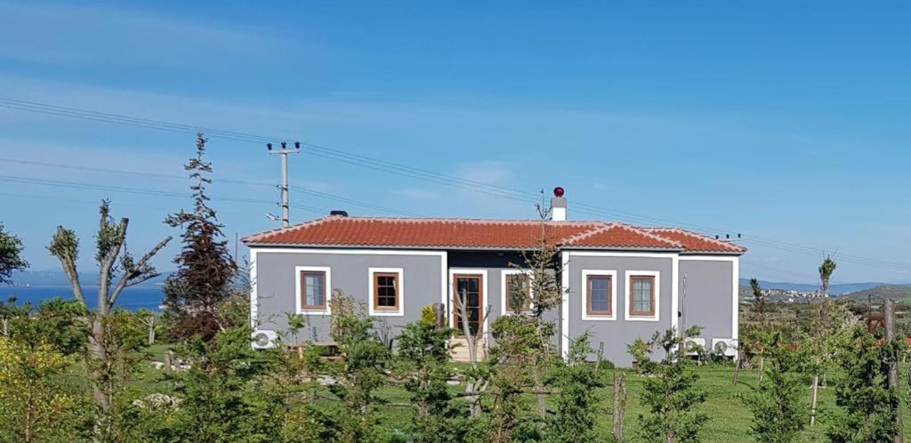 Adayel Bagevi & Butik Otel Bozcaada Luaran gambar