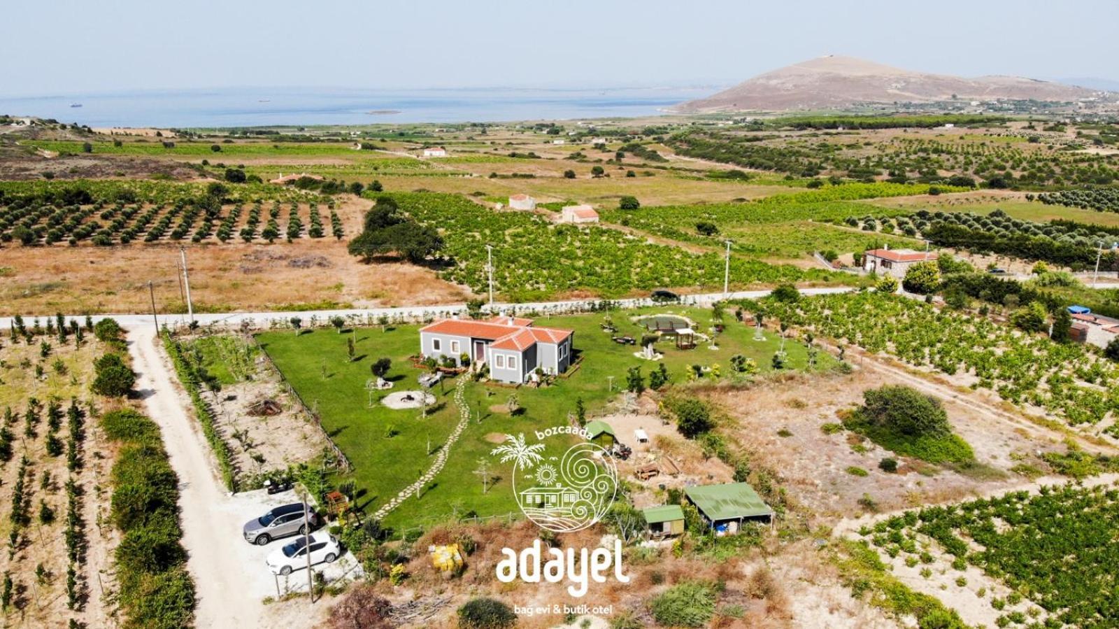 Adayel Bagevi & Butik Otel Bozcaada Luaran gambar